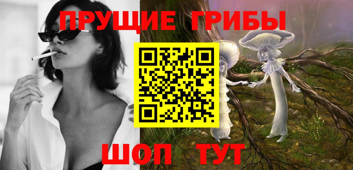 Домодедово  наркота  Вход с VPN  Псилоцибиновые грибы GOLDEN TEACHER 