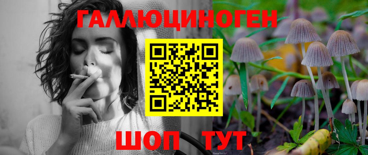 Псилоцибиновые грибы Psilocybine cubensis Домодедово